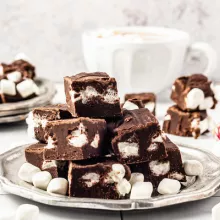 Dutch Hot Chocolate Fudge