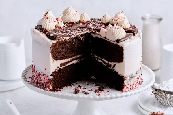 Chocolate Peppermint Cake