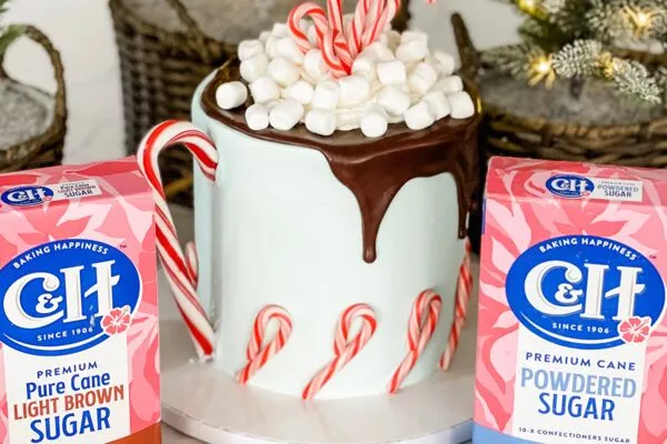 Hot Cocoa Cake with Marshmallow Buttercream