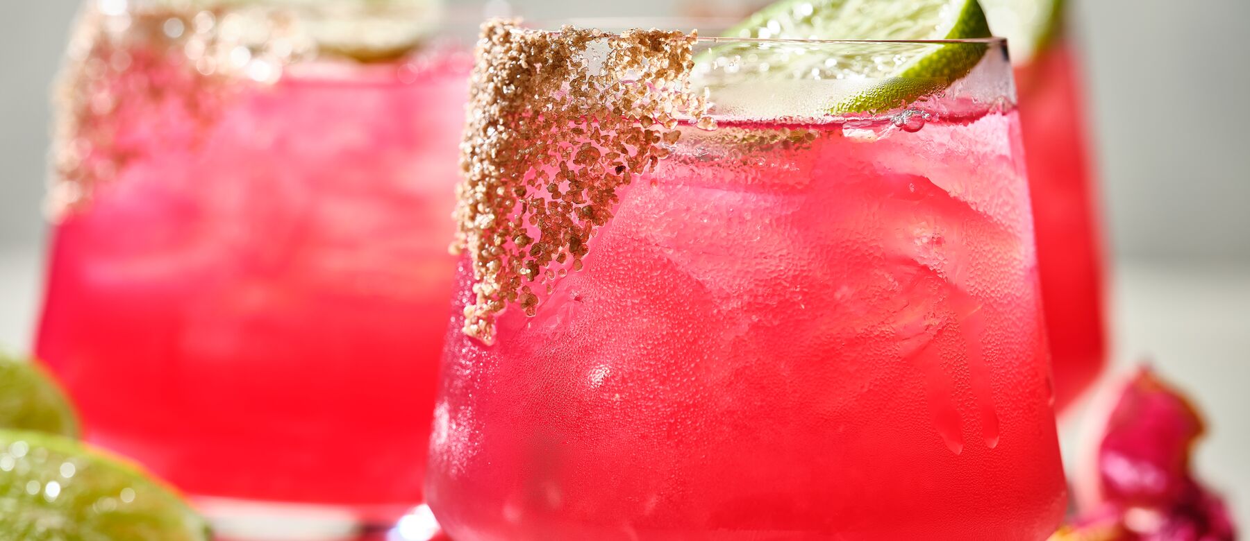 Hibiscus Margarita